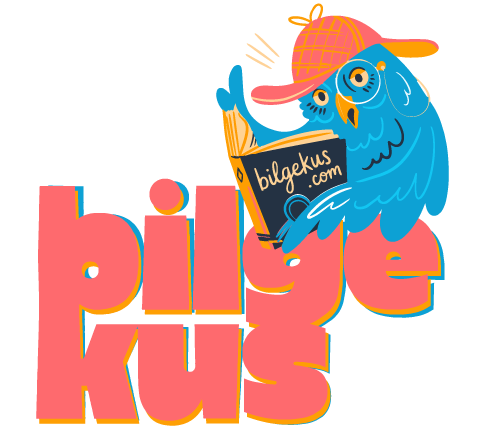 Bilgekus.com